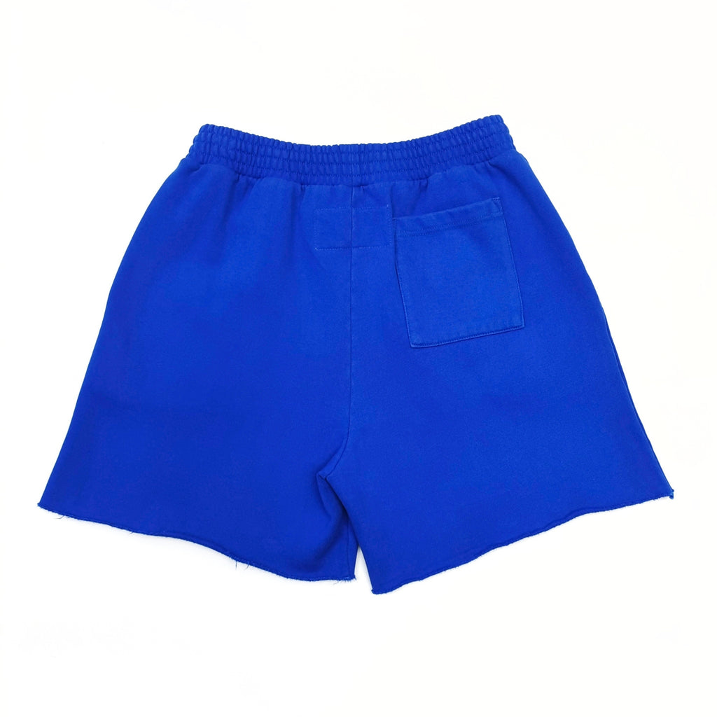 Sp5der Varsity Web Sweatshort 'Blue'